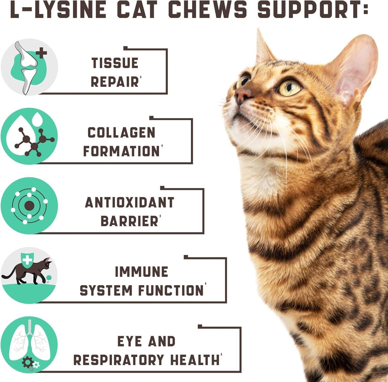 Lysine Cat Treats Immune Support Respiratory & Eye Health