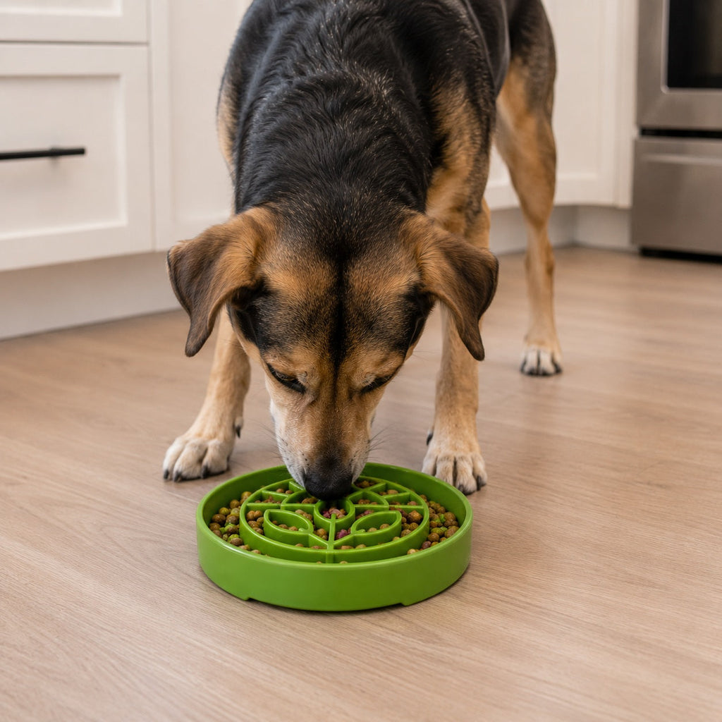 Garden Design eTray - Shallow Slow Feeder Dog Bowl for Enrichment | USA