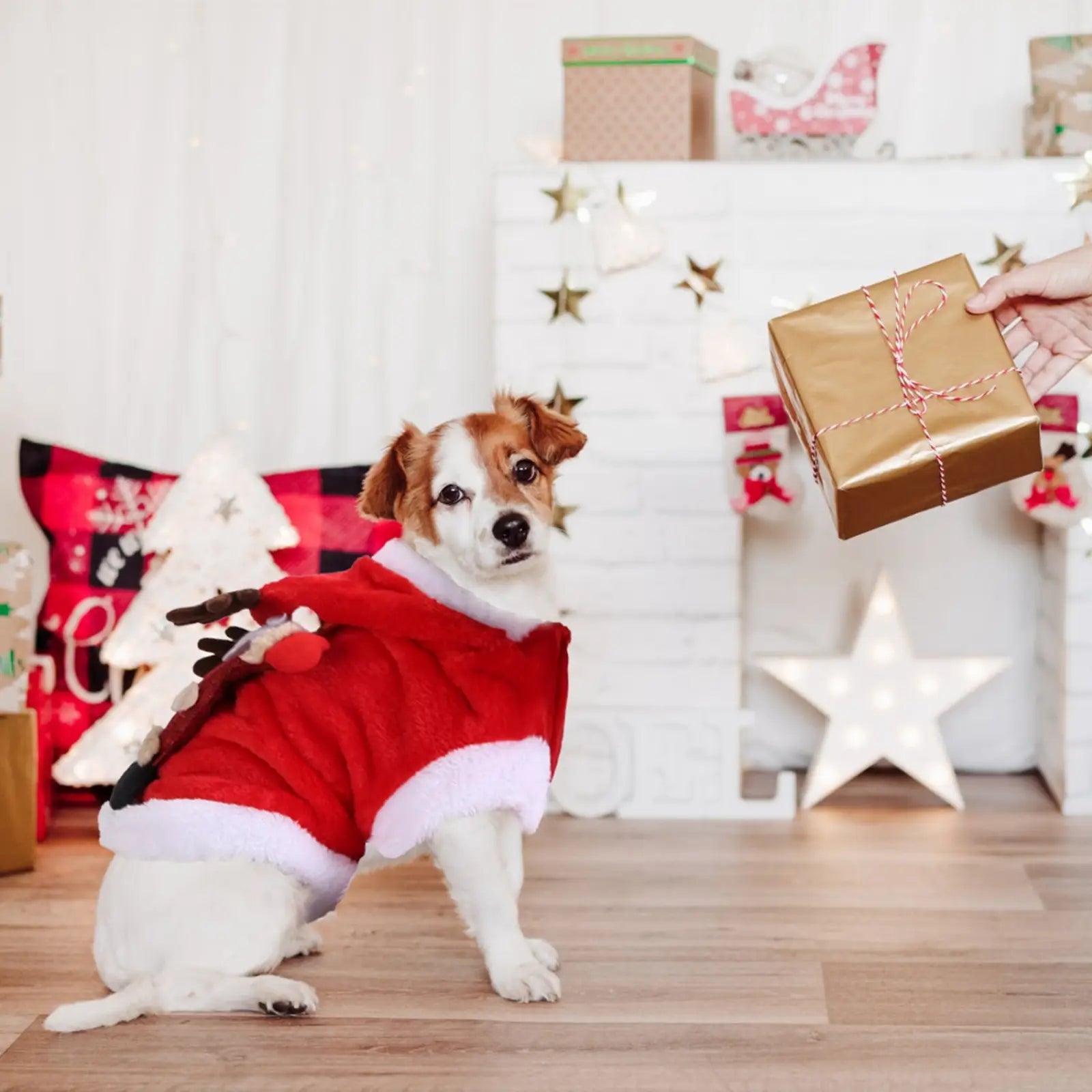 Christmas Pet Costume Santa Reindeer Winter Outfit
