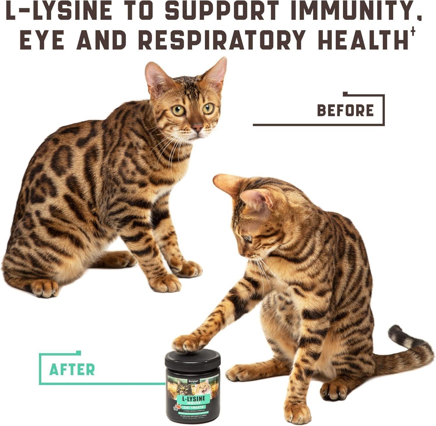 Lysine Cat Treats Immune Support Respiratory & Eye Health