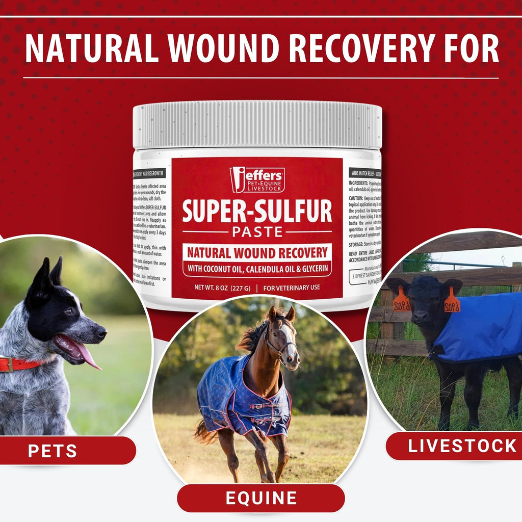 Jeffers Super-Sulfur Skin & Wound Healing Paste for Pets, Horses, & Livestock